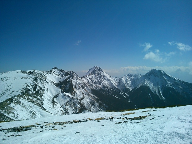 d0107938_1357585.jpg