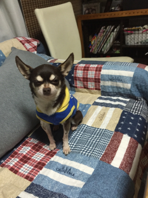 c0342841_21373762.jpg