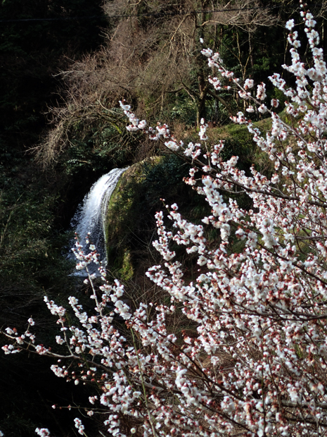 f0214649_51525.jpg
