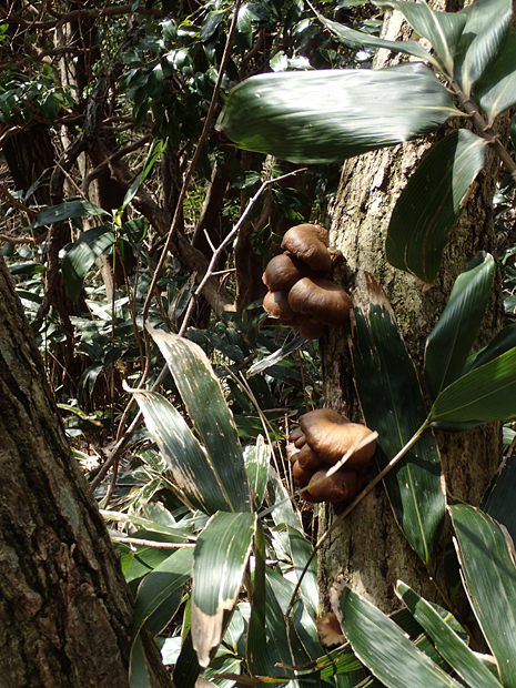 f0214649_5171069.jpg