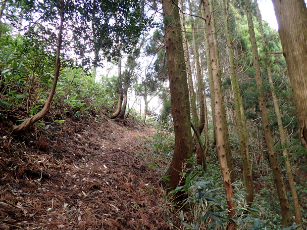 f0214649_563180.jpg