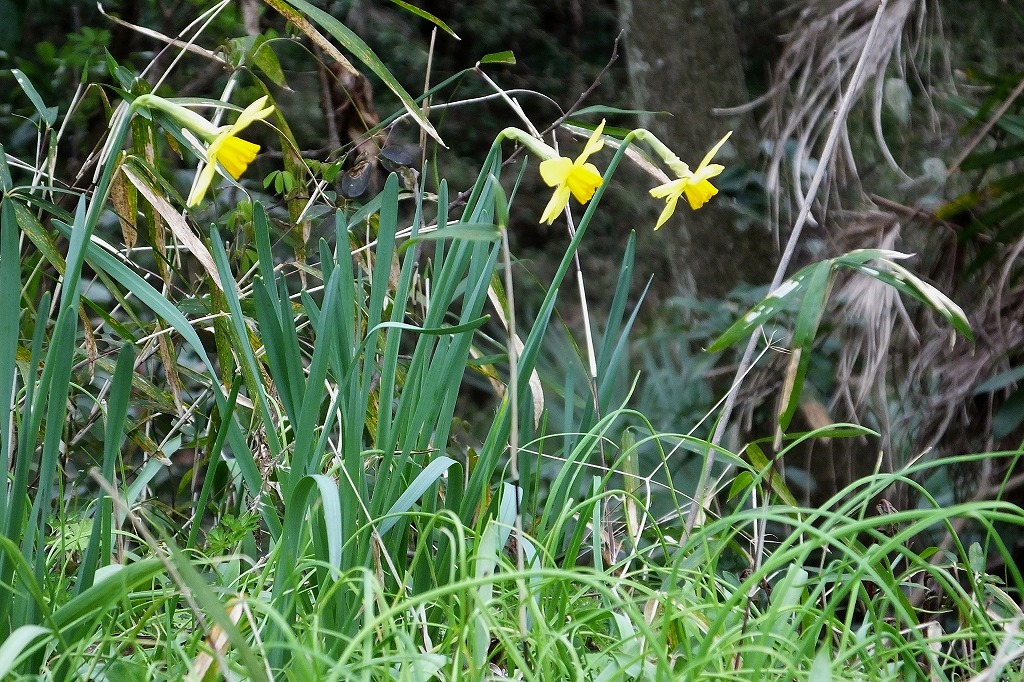 b0236251_1542568.jpg