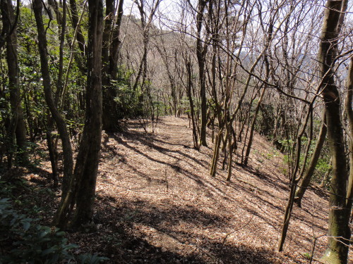 c0179351_21011276.jpg