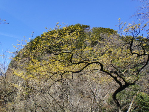 c0179351_21012869.jpg