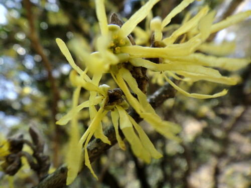 c0179351_21014102.jpg