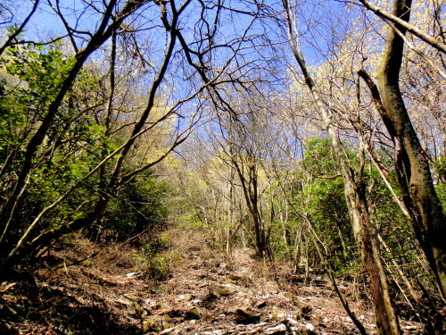 c0179351_21015450.jpg