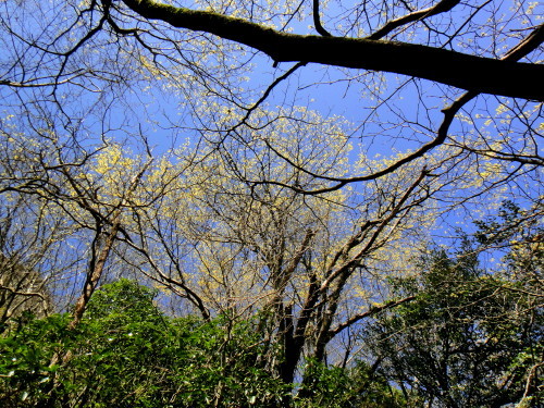 c0179351_21020977.jpg