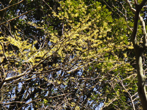 c0179351_21025939.jpg