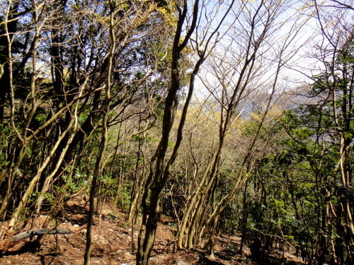 c0179351_21031788.jpg