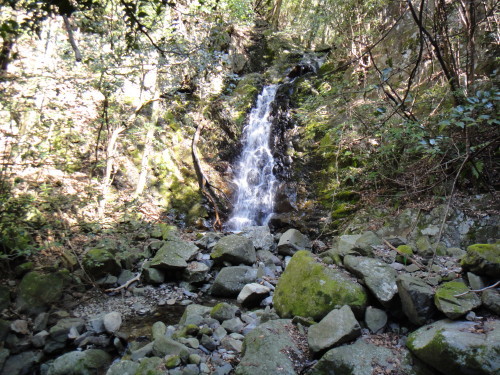 c0179351_21040956.jpg