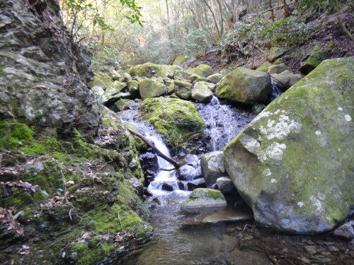 c0179351_21042029.jpg