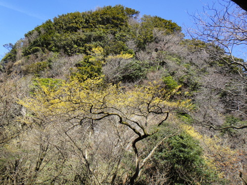 c0179351_21105834.jpg
