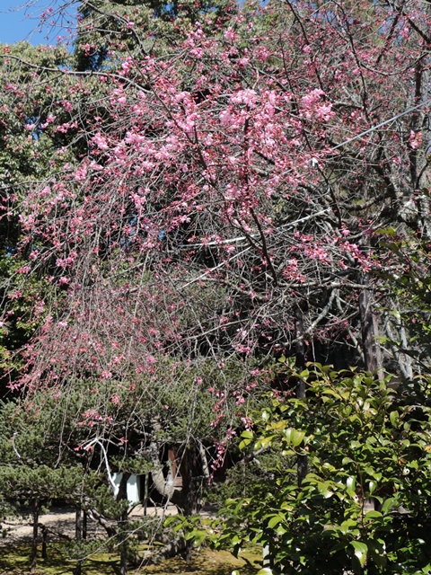 e0017051_202943100.jpg