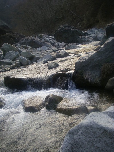 f0212059_2147050.jpg