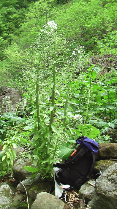 b0208961_1043408.jpg