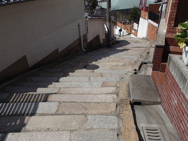 b0044663_13325281.jpg