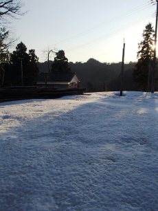 b0079965_8521158.jpg