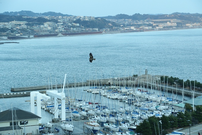 e0356667_09373431.jpg