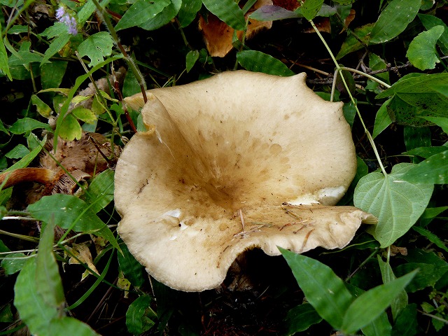 d0019074_9254580.jpg