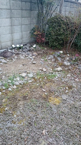 f0213476_23353325.jpg