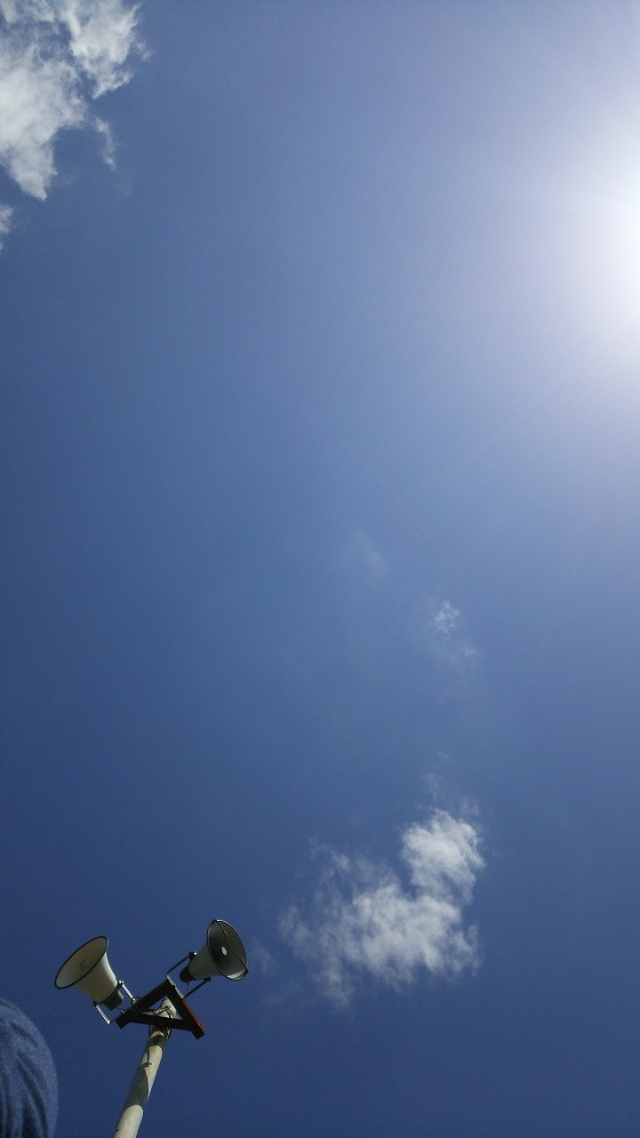 b0100489_14234495.jpg
