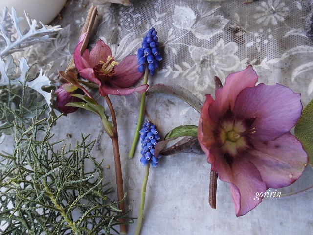 f0202291_23411248.jpg