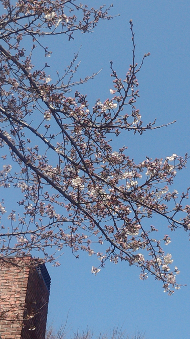 d0334592_15513541.jpg