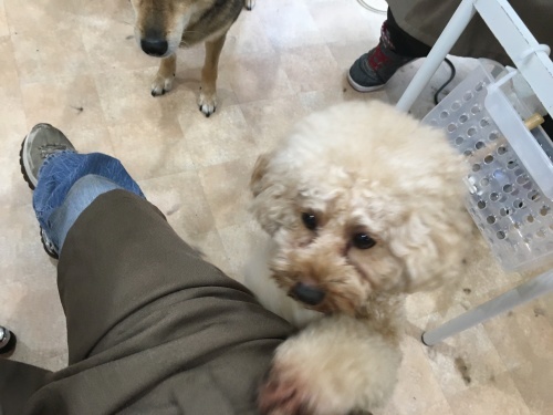 d0269898_22174261.jpeg