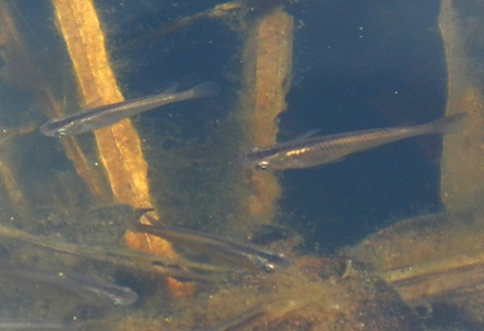 a0236300_2233895.jpg