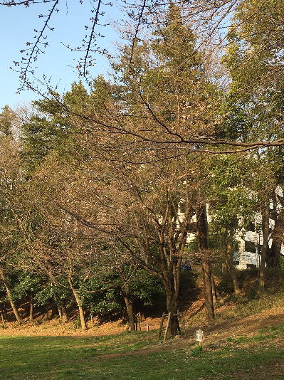 b0160300_2320461.jpg
