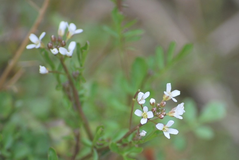 e0025300_1410206.jpg