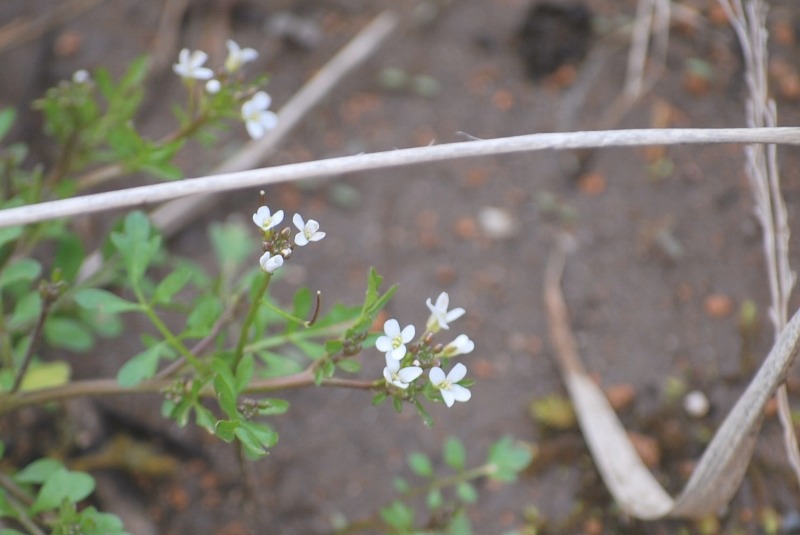 e0025300_1410223.jpg