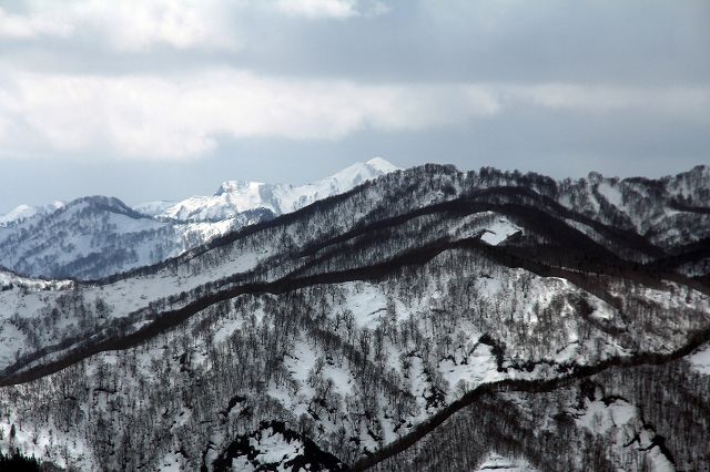 e0137200_23131374.jpg