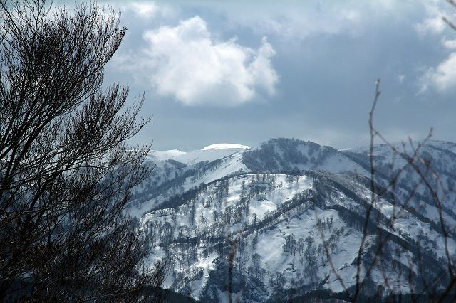 e0137200_23152198.jpg
