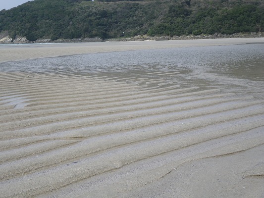 f0187402_20584849.jpg