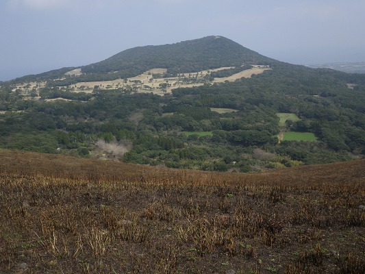 f0187402_20594292.jpg