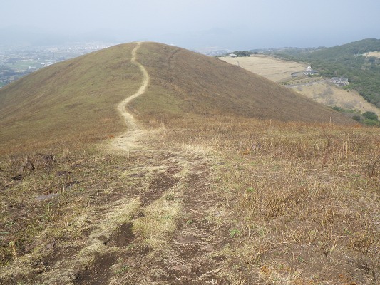 f0187402_210293.jpg