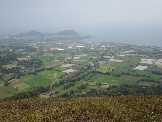 f0187402_210945.jpg