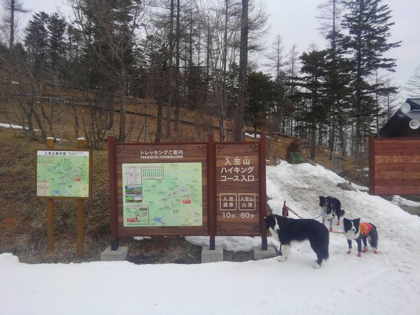d0224111_19533290.jpg