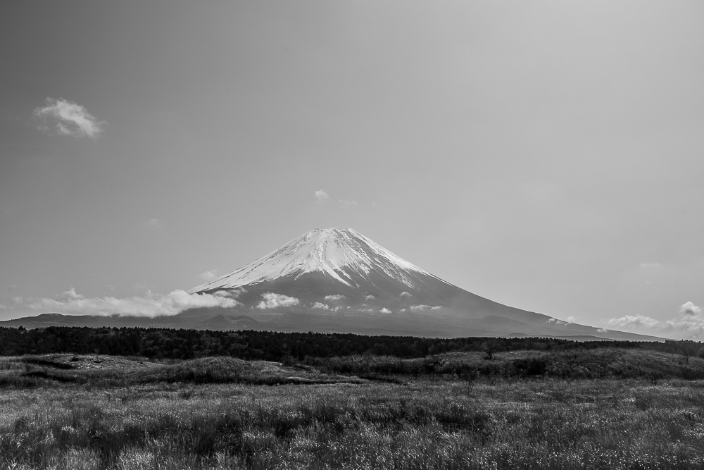 e0006219_15215389.jpg