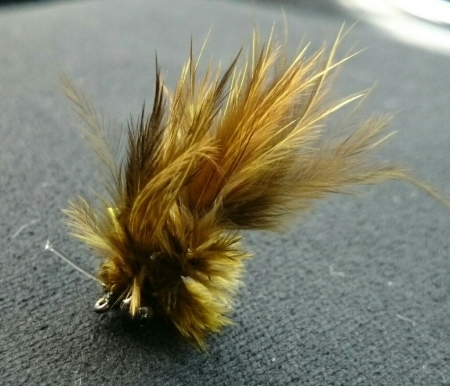 b0259124_07182854.jpg