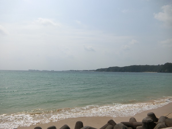 c0142326_1543861.jpg