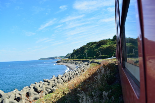 a0338635_013857.jpg