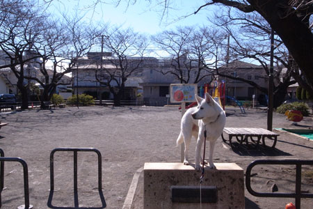 a0117039_23423527.jpg