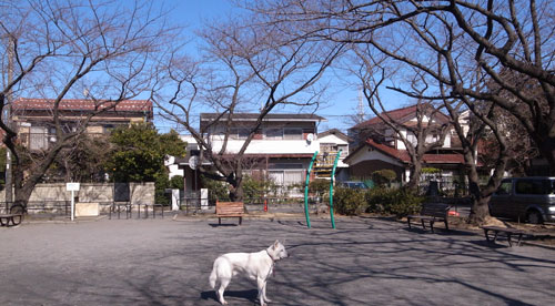 a0117039_23432112.jpg