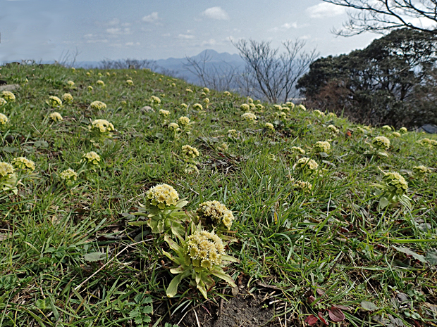 f0214649_3504015.jpg