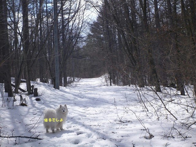 e0176159_16510681.jpg