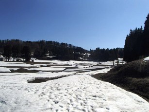 b0079965_5124158.jpg