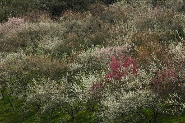 e0307372_16163009.jpg