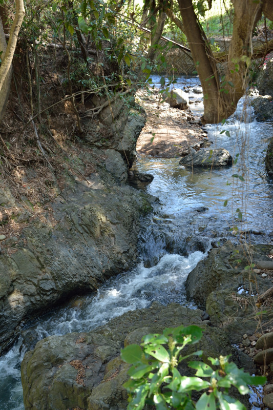 c0367473_20281648.jpg